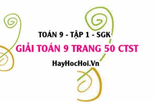 Giải Toán 9 trang 50 tập 1 Chân trời sáng tạo SGK